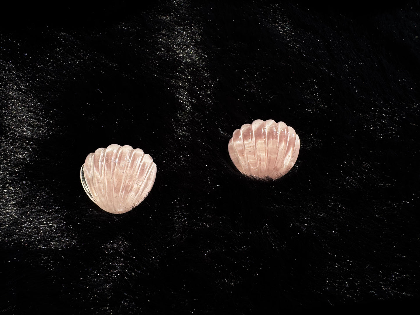 Pastel Shore - Chill Zone Collection